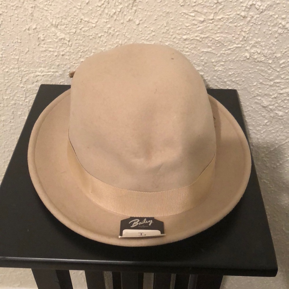 Fall fedora - Picture 2 of 5